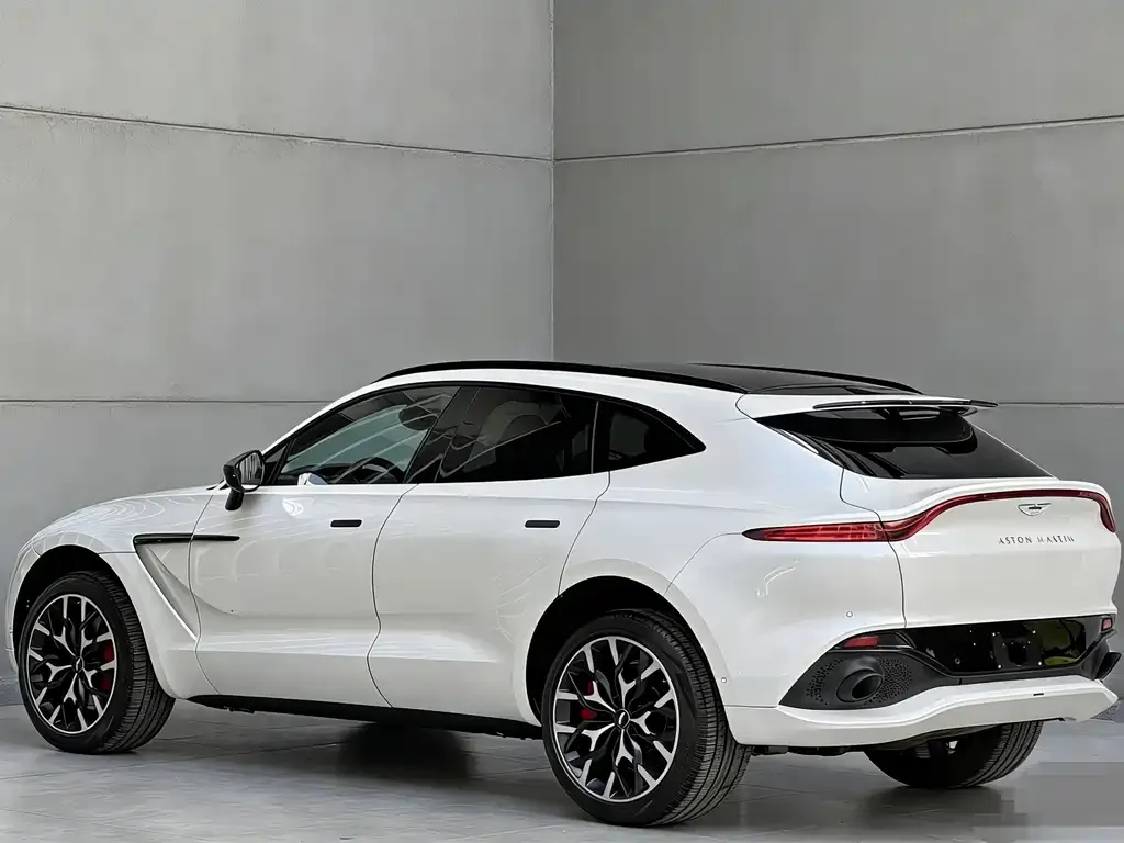 Aston Martin DBX 2021 из CN, фото 4