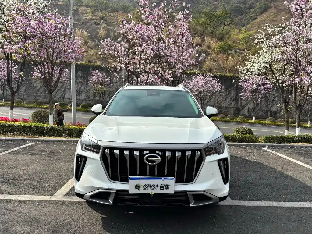 GAC Motor GS4 Plus 2024 из CN, фото 6