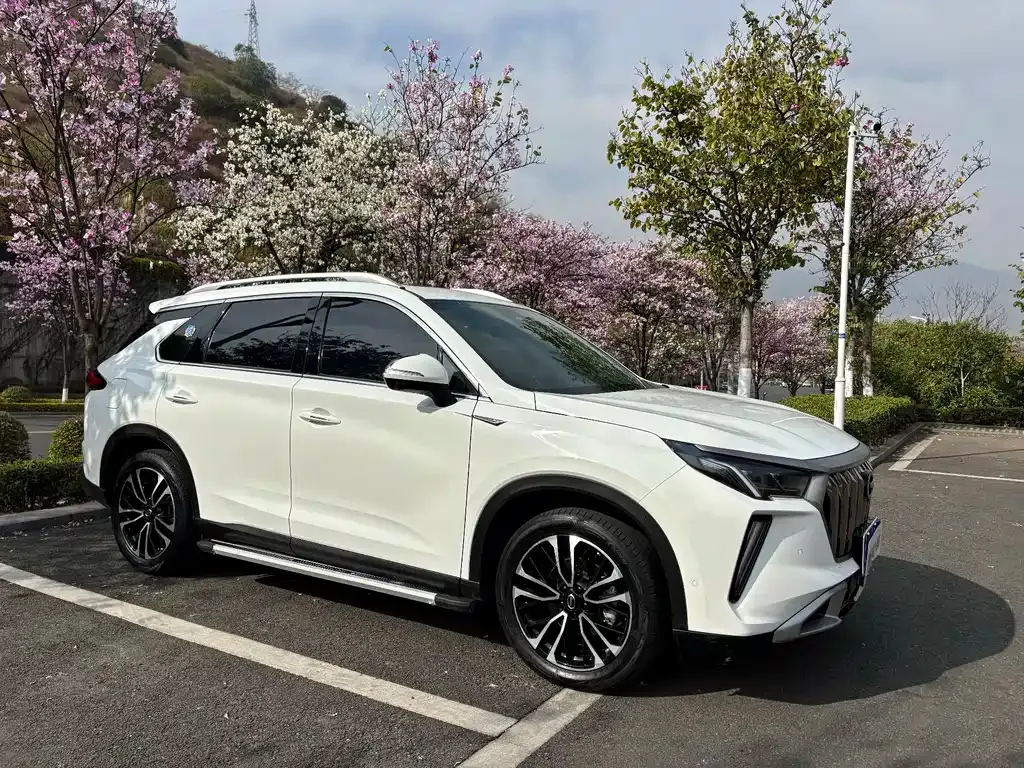 GAC Motor GS4 Plus 2024 из CN, фото 5
