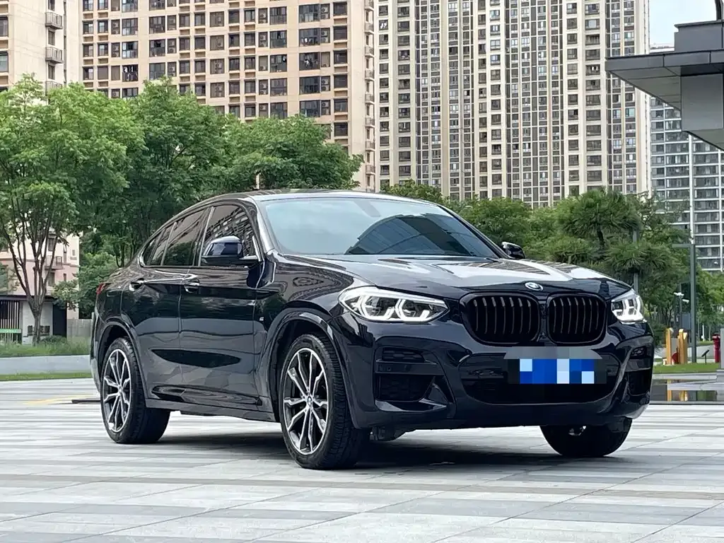 BMW X4 2021 из CN, фото 5