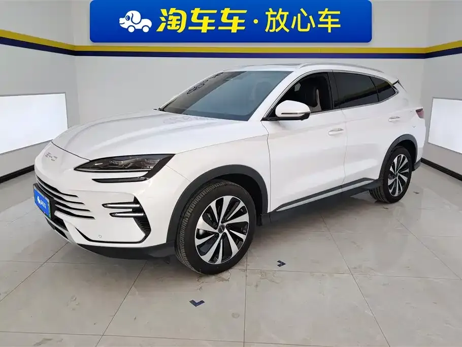 BYD PLUS New Energy — фото 1