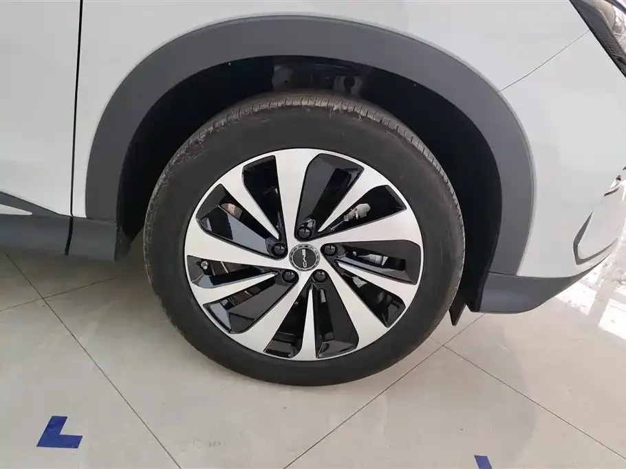 BYD PLUS New Energy — фото 10