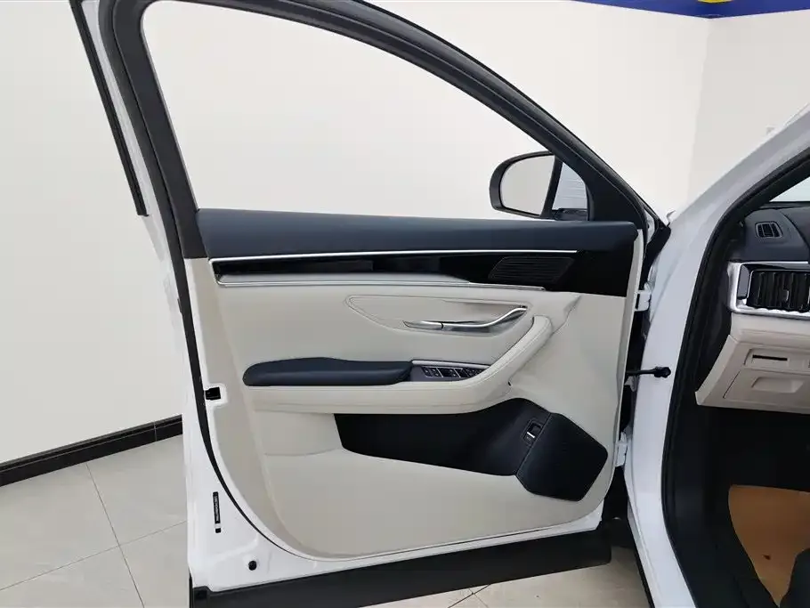 BYD PLUS New Energy — фото 4