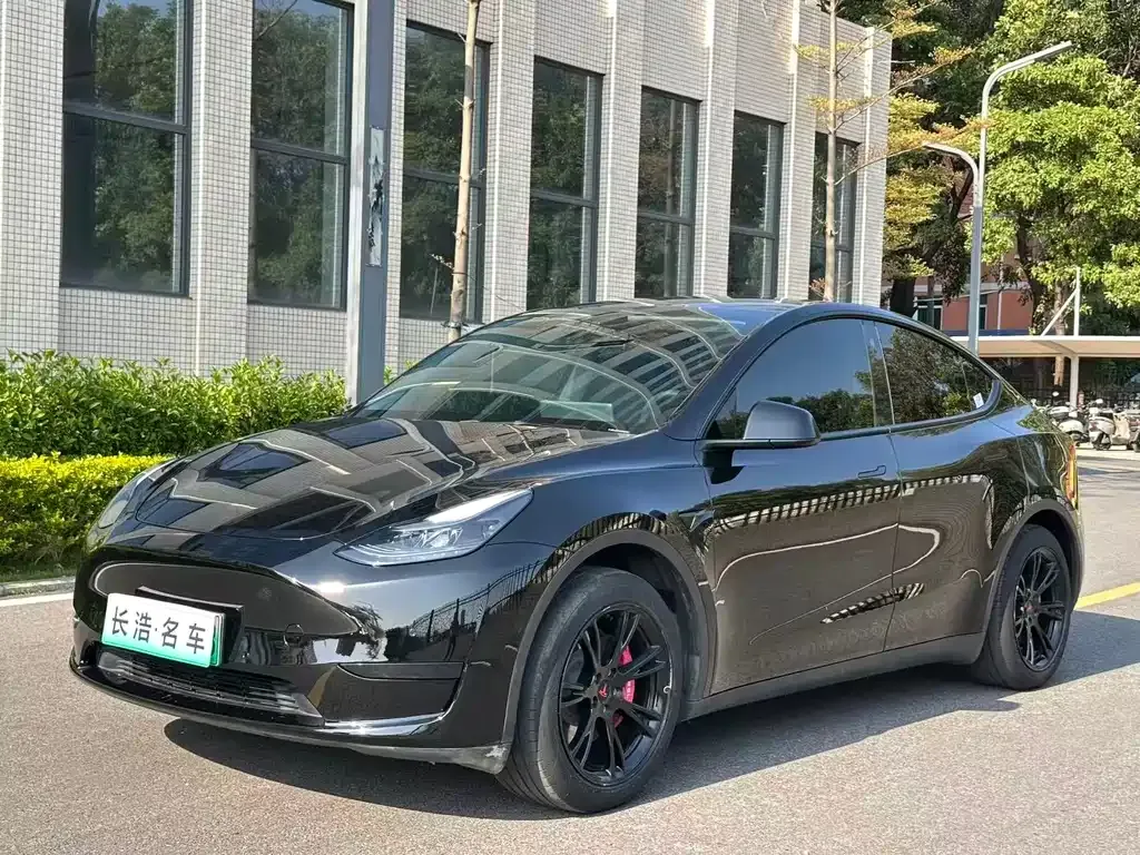 Tesla Model Y — фото 1
