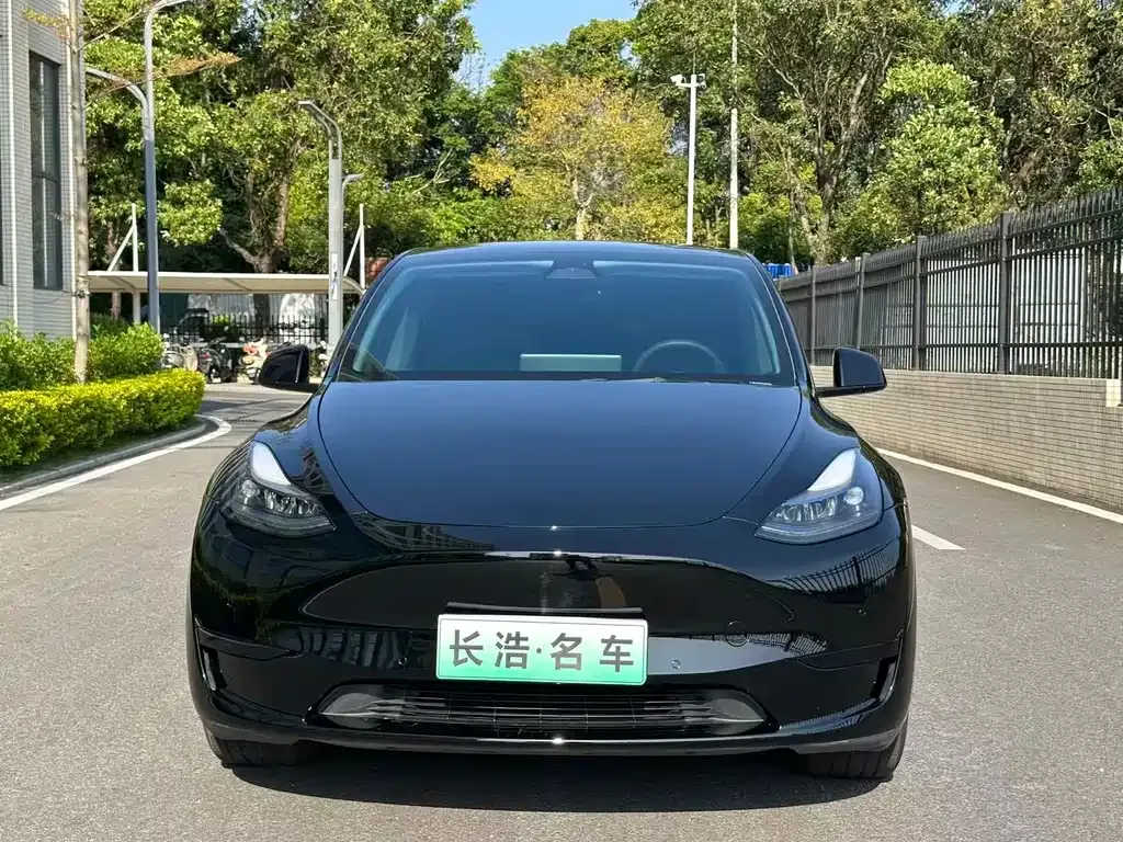 Tesla Model Y — фото 5