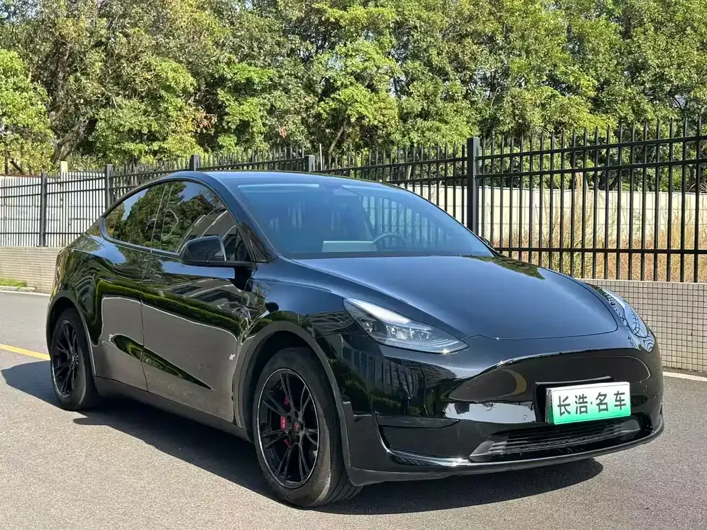 Tesla Model Y — фото 8