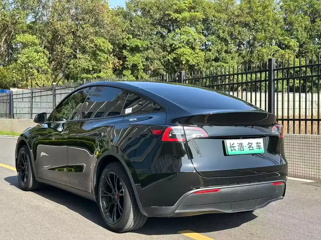 Tesla Model Y — фото 9