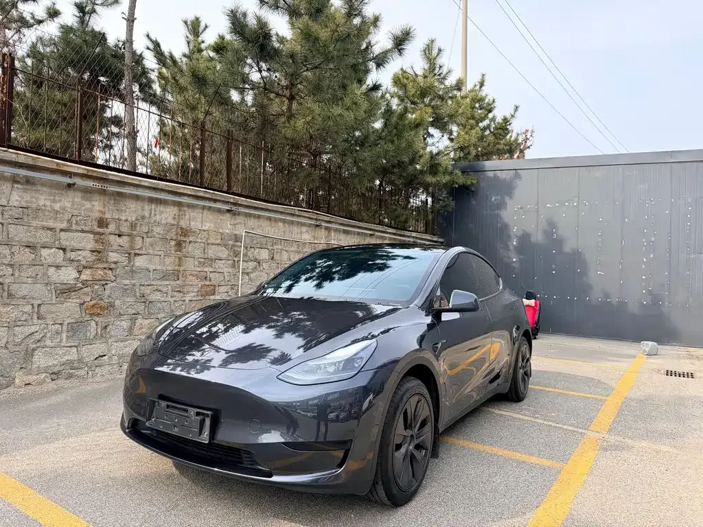 Tesla Model Y — фото 1