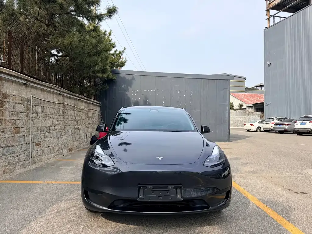Tesla Model Y — фото 8