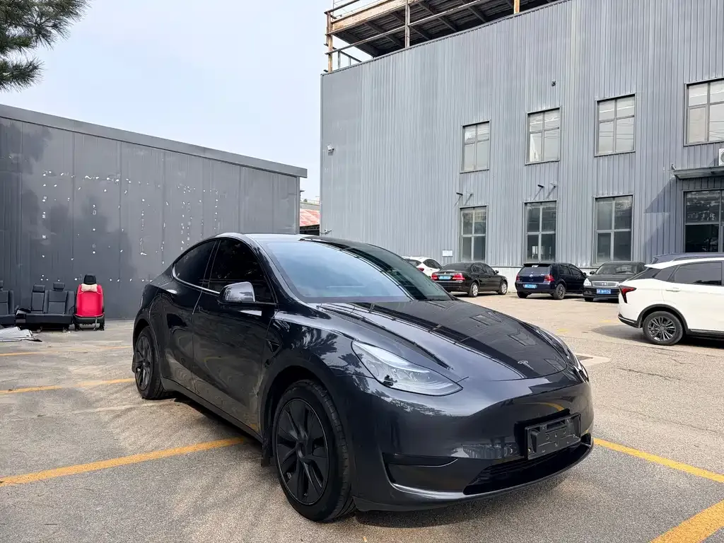Tesla Model Y — фото 6
