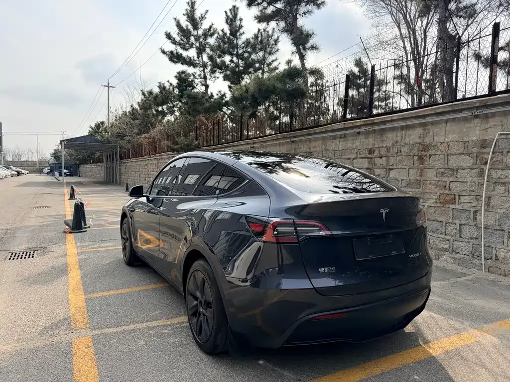 Tesla Model Y — фото 3
