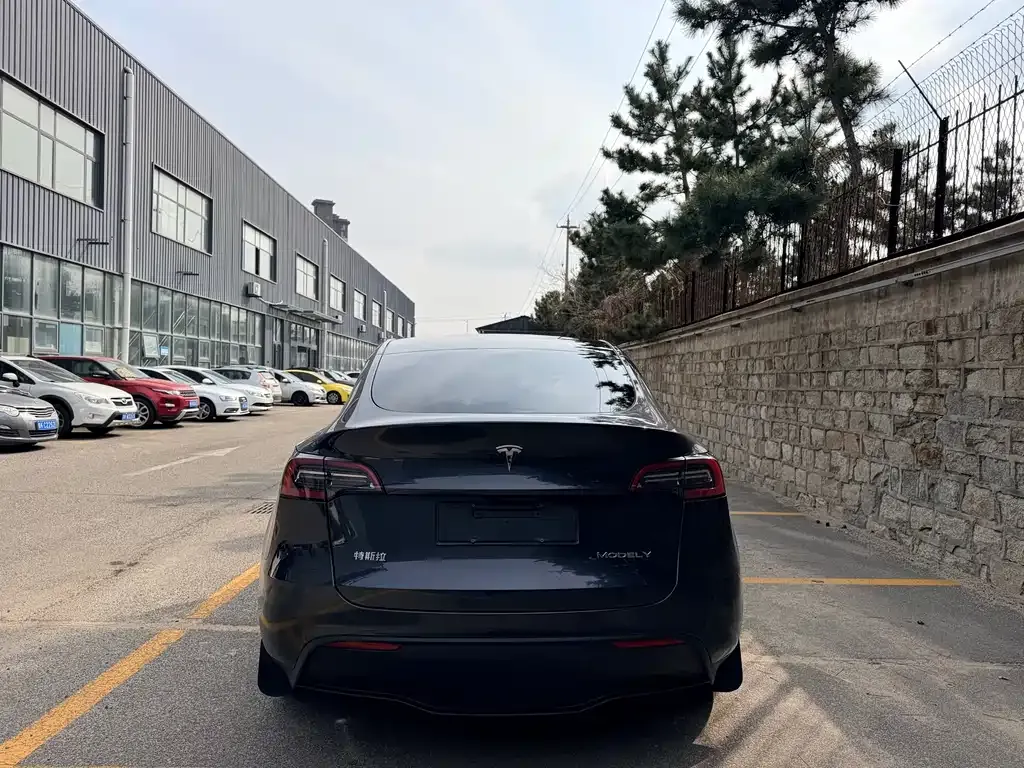 Tesla Model Y — фото 9
