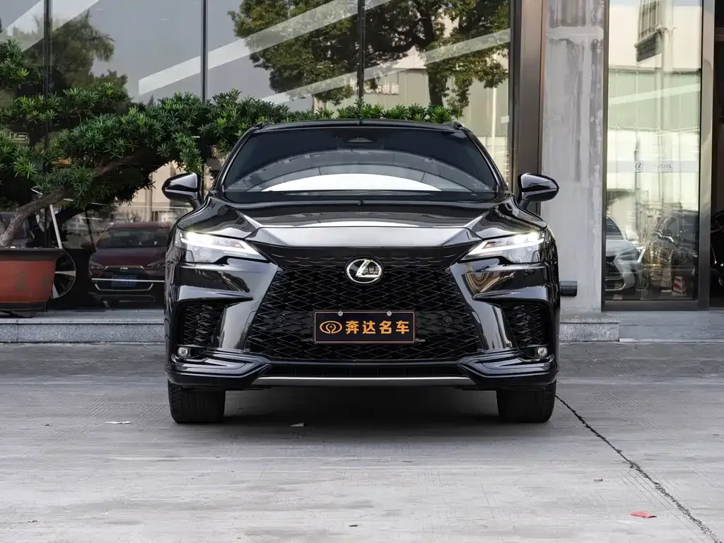 Lexus RX — фото 8