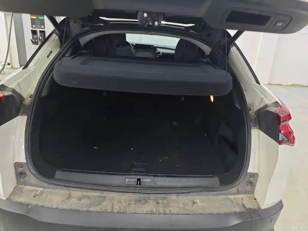 Citroen C5 X 2021 из CN, фото 8