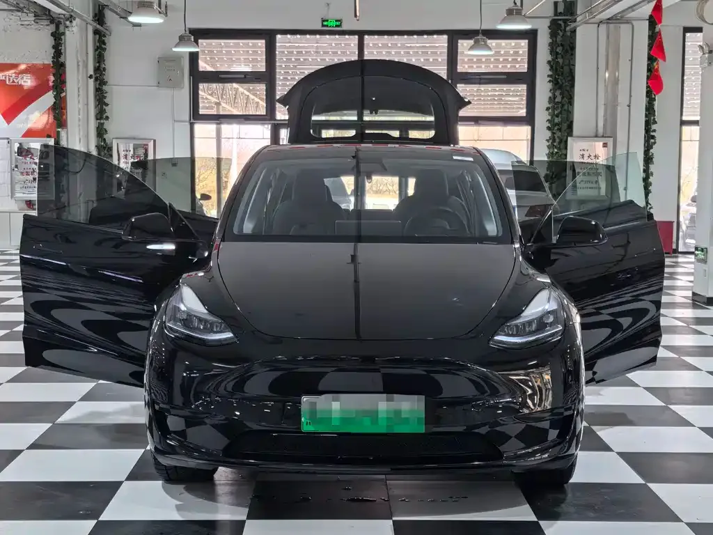 Tesla Model Y 2023 из CN, фото 6