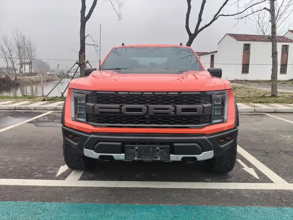 Ford F-150 Raptor 2023 из CN, фото 6