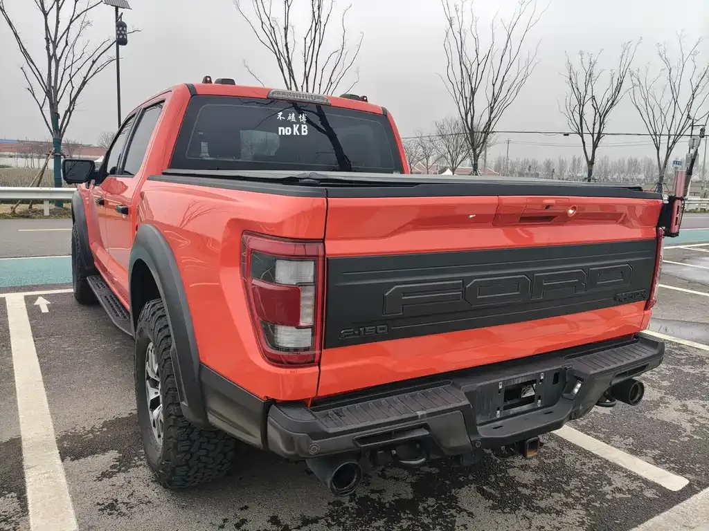 Ford F-150 Raptor 2023 из CN, фото 9