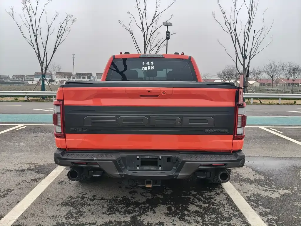 Ford F-150 Raptor 2023 из CN, фото 3