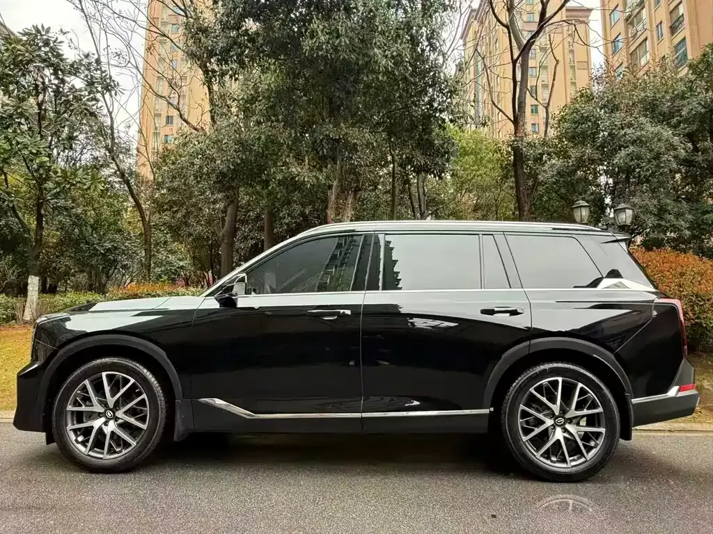 GAC Motor Trumpchi GS8 2024 из CN, фото 9