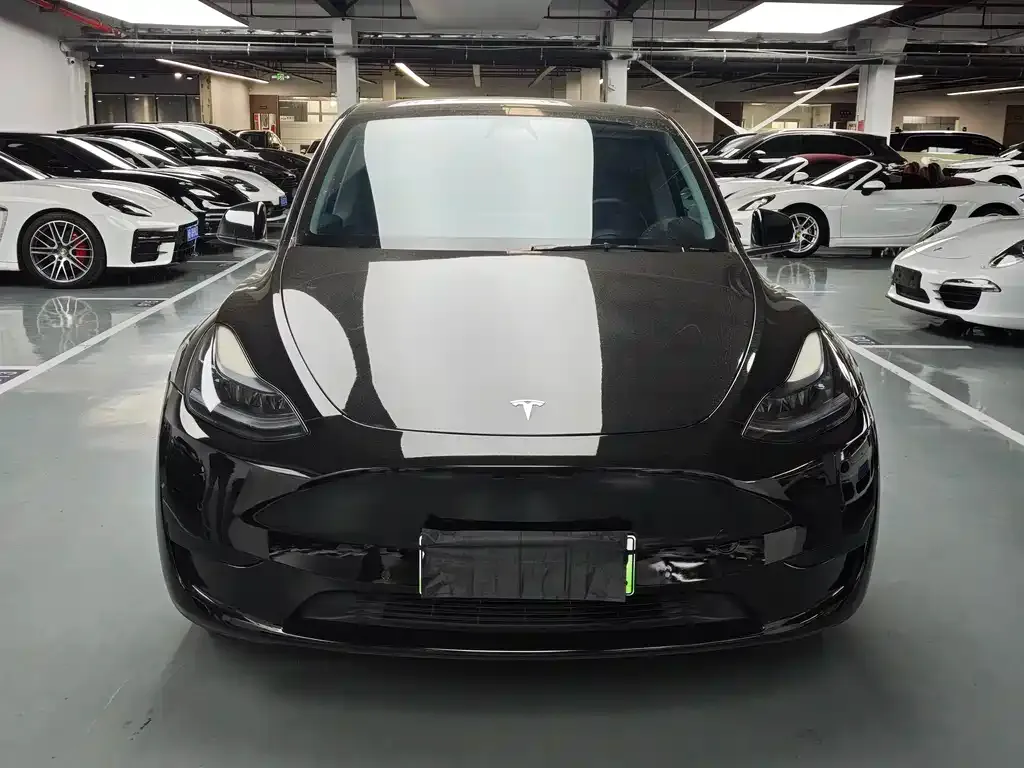 Tesla Model Y — фото 8