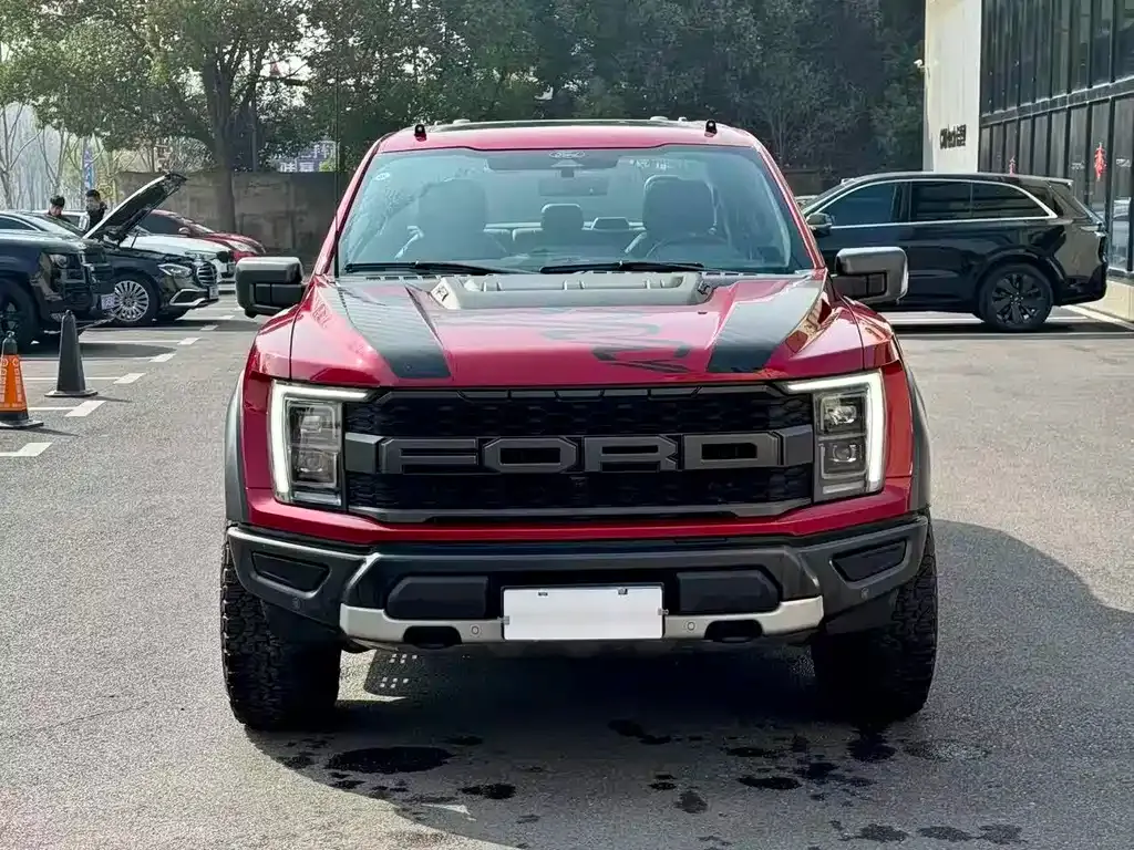Ford F-150 Raptor 2023 из CN, фото 8