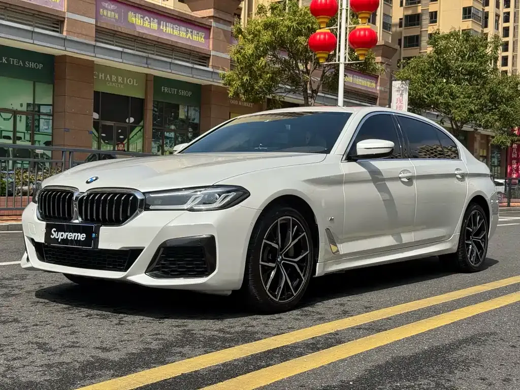 BMW 5 Series 2021 из CN, фото 1