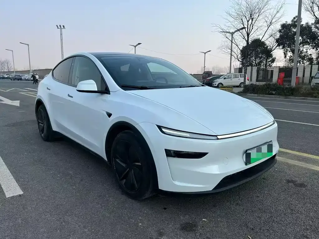 Tesla Model Y 2025 из CN, фото 7