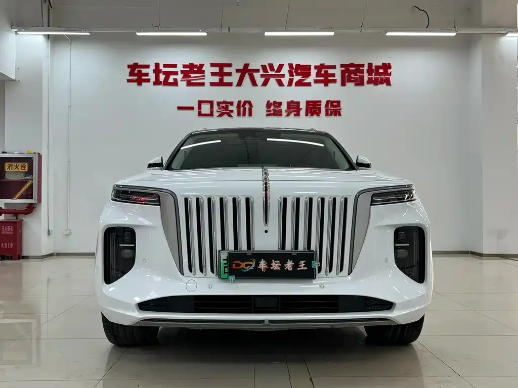 Hongqi E-HS9 — фото 4