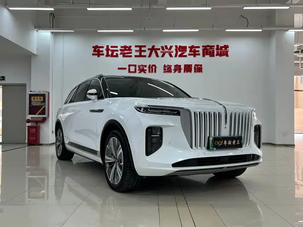 Hongqi E-HS9 — фото 6