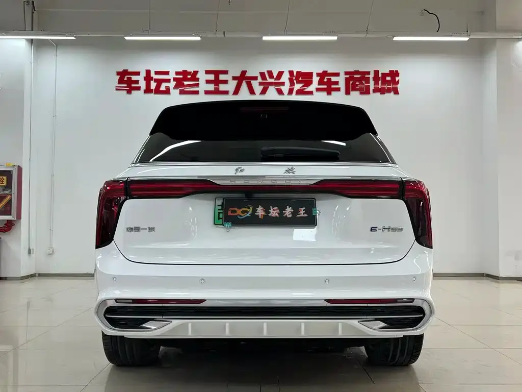 Hongqi E-HS9 — фото 2