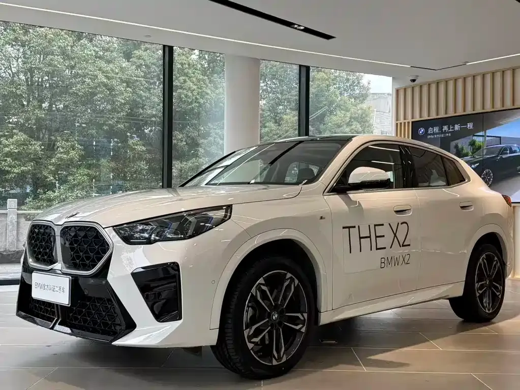 BMW X2 (Import) — фото 1