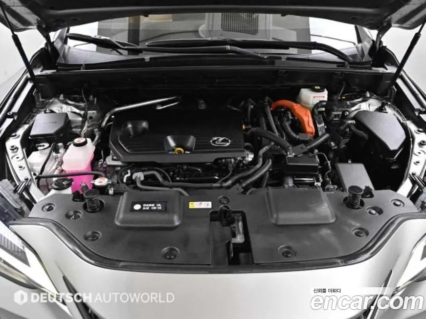Lexus NX 2023 из KR, фото 9