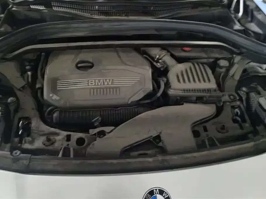 BMW X2 2021 из CN, фото 8