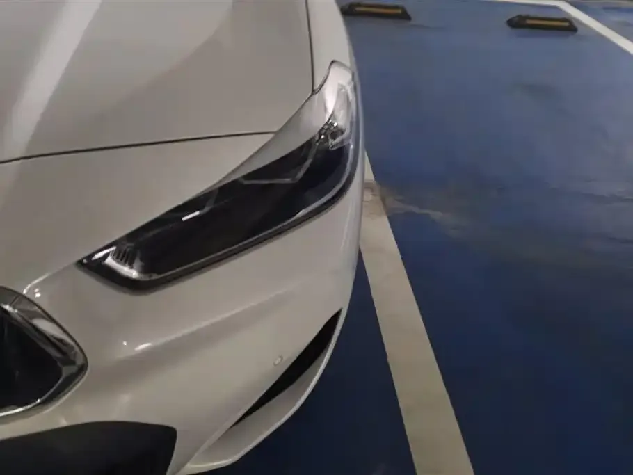 BMW X2 2021 из CN, фото 9