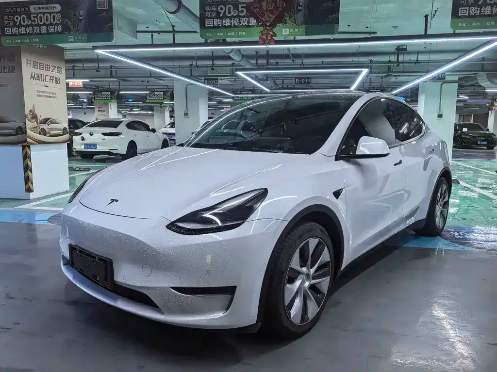 Tesla Model Y — фото 1