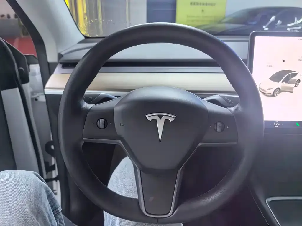 Tesla Model Y — фото 2