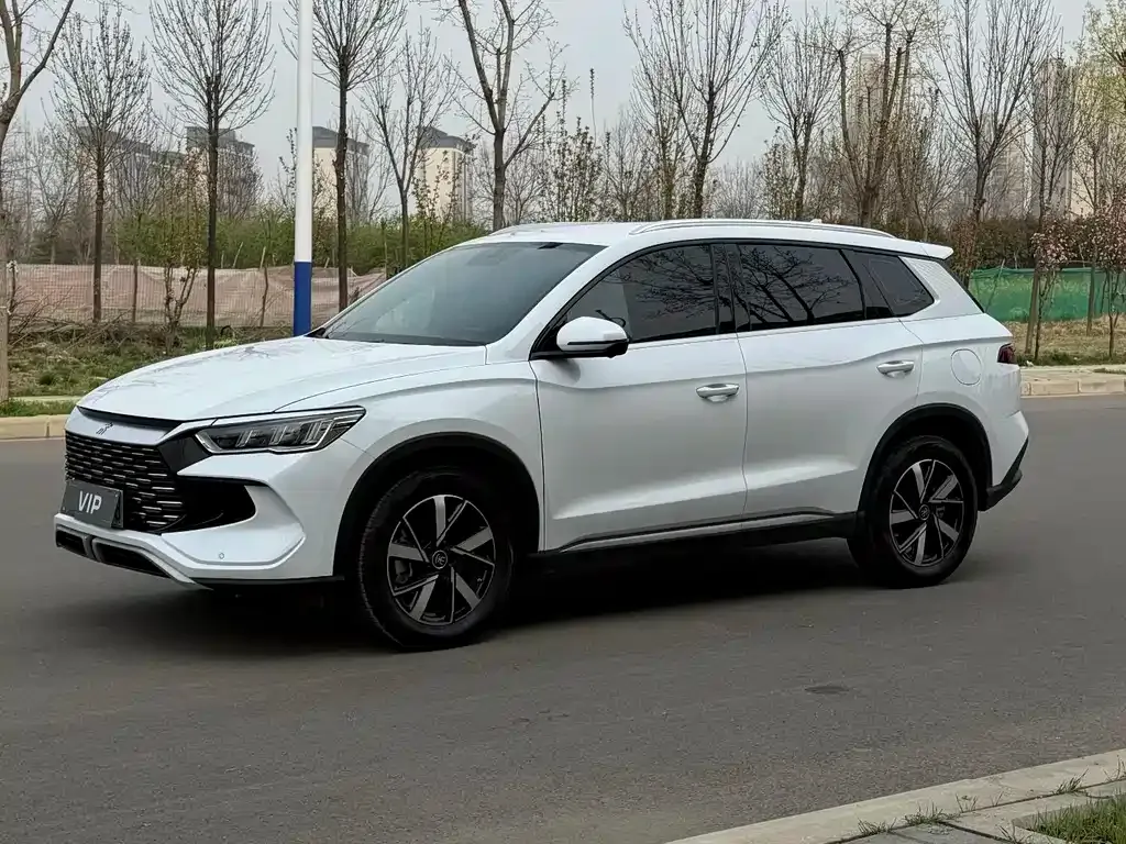 BYD Pro New Energy — фото 1
