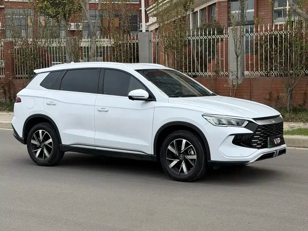 BYD Pro New Energy — фото 10