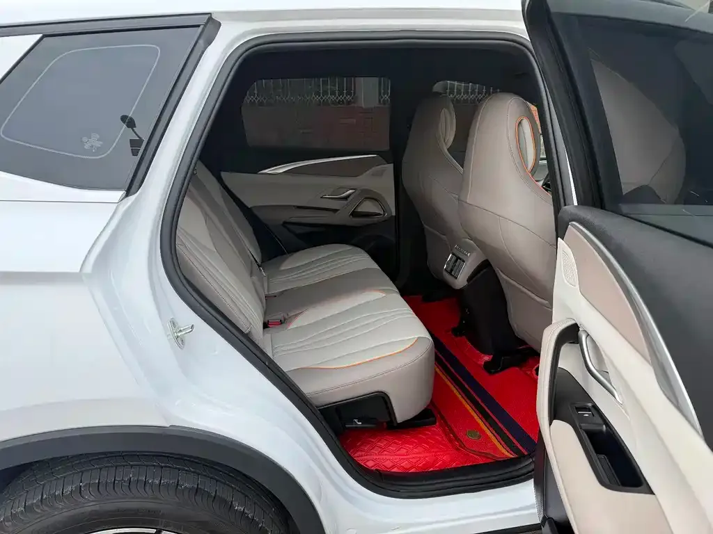 BYD Pro New Energy — фото 3