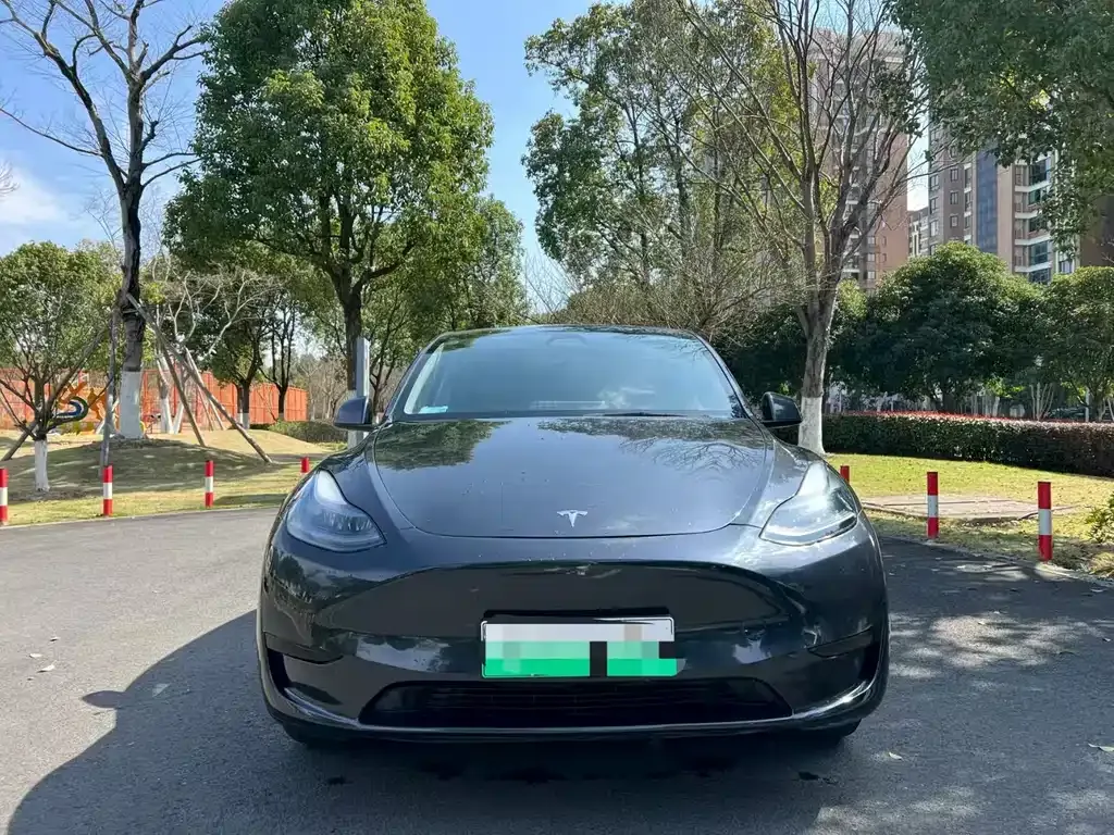 Tesla Model Y — фото 1