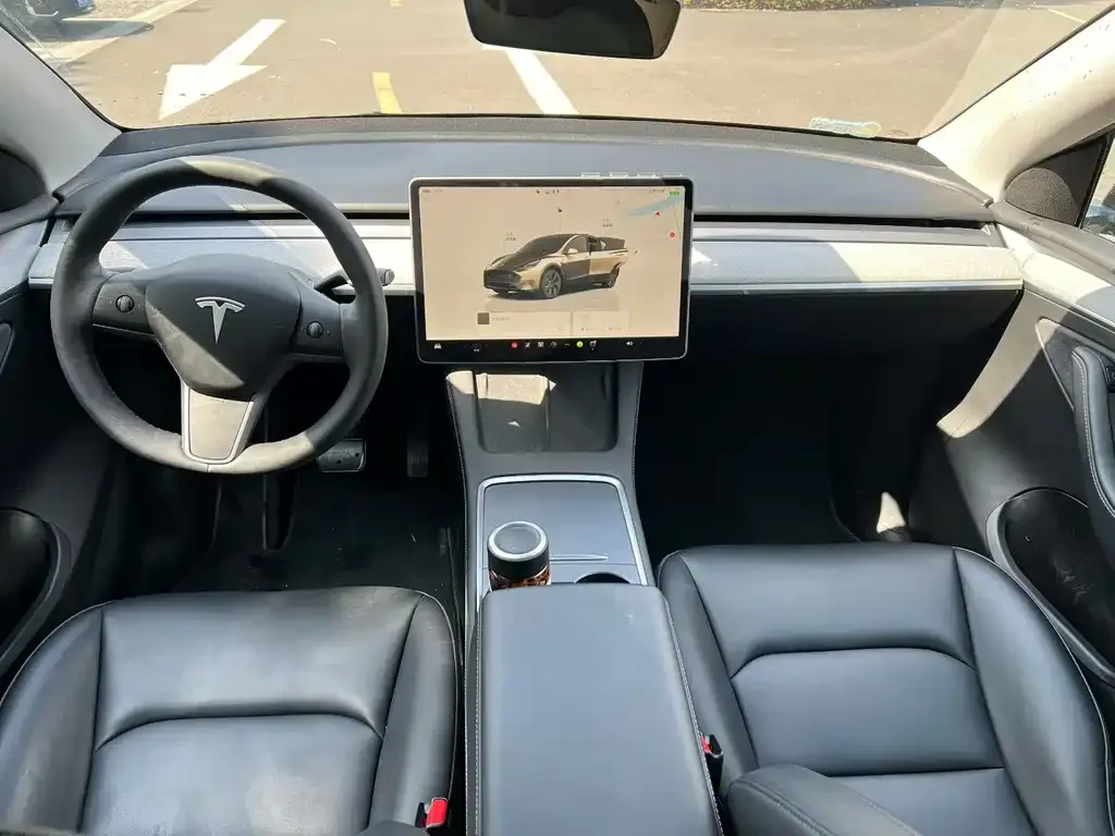 Tesla Model Y — фото 2