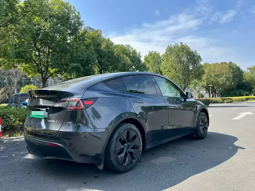 Tesla Model Y — фото 8