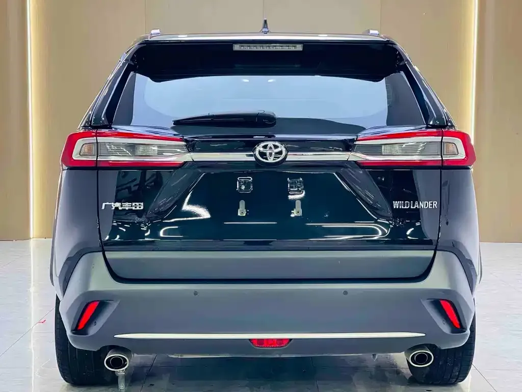 Toyota Wildlander 2024 из CN, фото 6