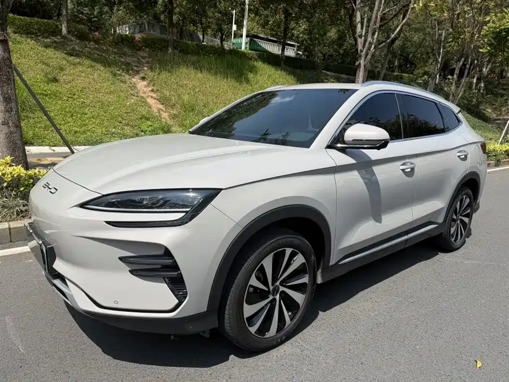 BYD PLUS New Energy 2023 из CN, фото 1