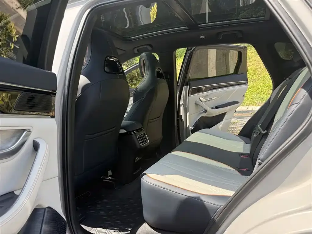 BYD PLUS New Energy 2023 из CN, фото 2