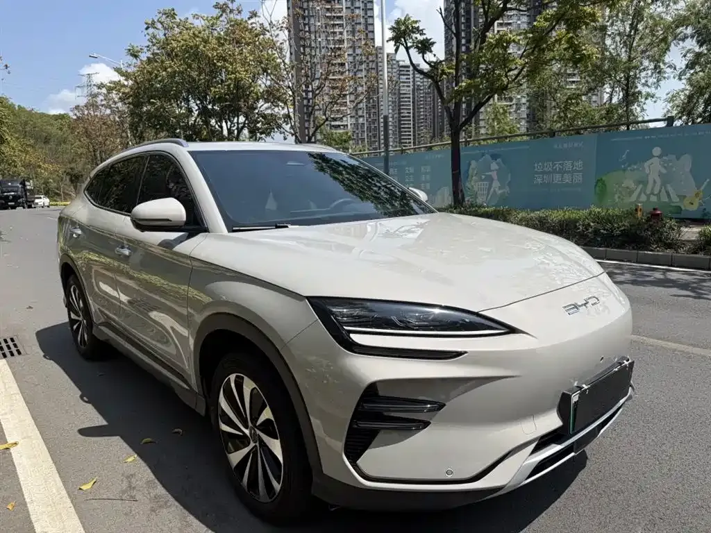 BYD PLUS New Energy 2023 из CN, фото 5