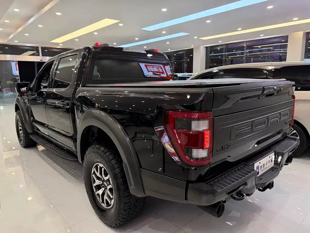 Ford F-150 Raptor 2024 из CN, фото 8