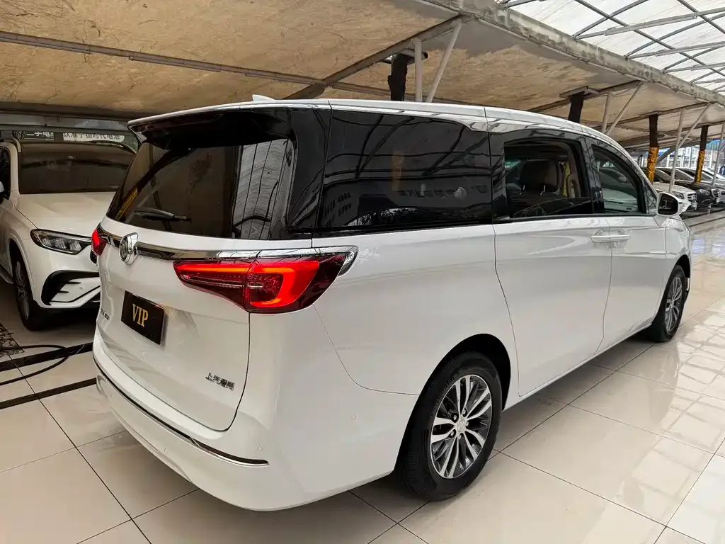 Buick GL8 2021 из CN, фото 10