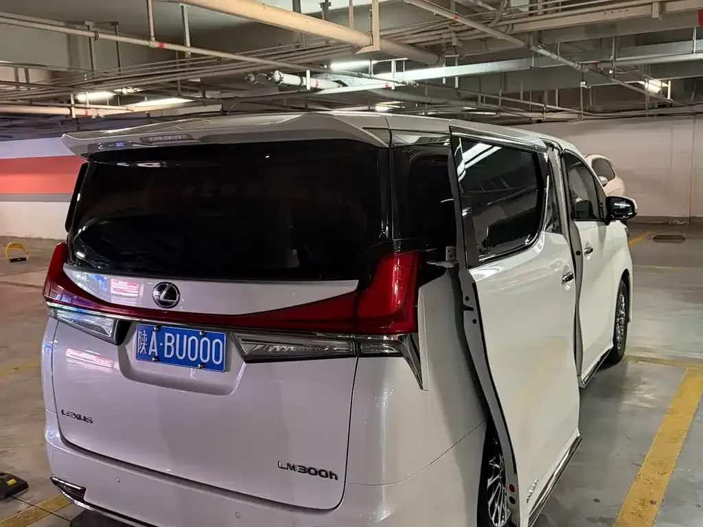 Lexus LM 2022 из CN, фото 6
