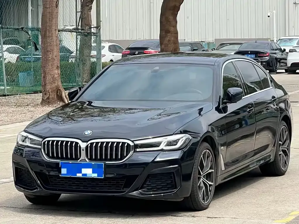 BMW 5 Series 2023 из CN, фото 1